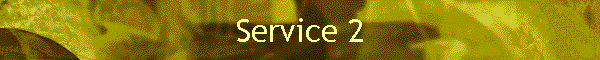 Service 2